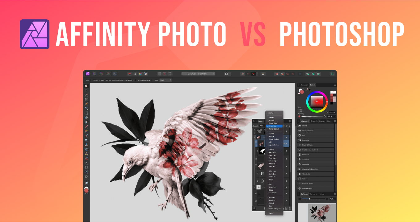 affinity photo alternative à photoshop