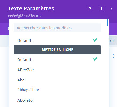 changer police module texte divi