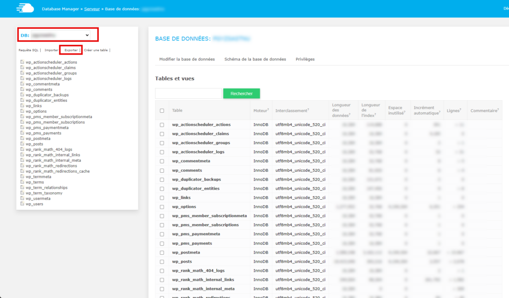database manager Cloudways