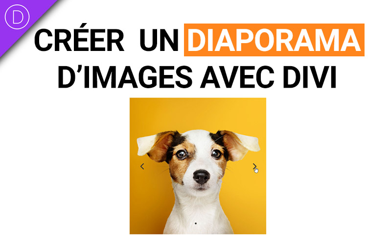 diaporama images slider divi wordpress