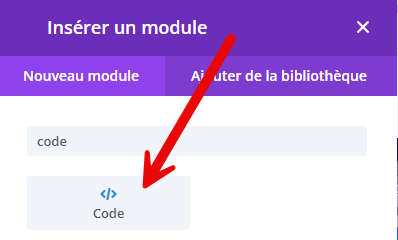 divi insérer module code