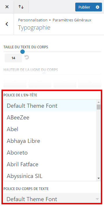 Google Fonts dans Divi