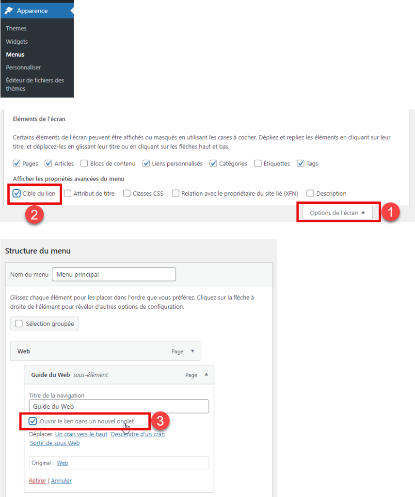 Option « Ouvrir le lien dans un nouvel onglet » d'un élément de menu WordPress