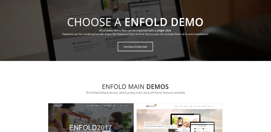 thème WordPress Enfold