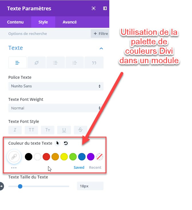 utilisation de la palette de couleurs Divi dans un module