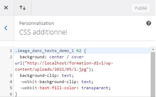 WordPress code CSS additionnel