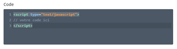 Démonstration du module Code de Divi : un bloc de code JavaScript entre balises script