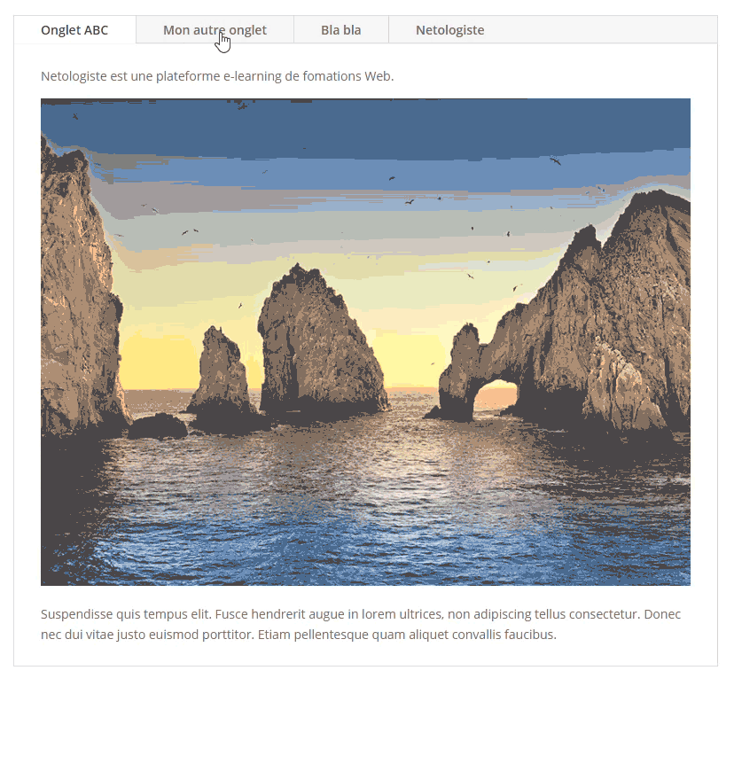 divi demo module onglets