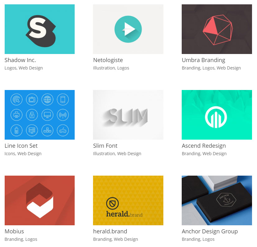 divi demo module portfolio