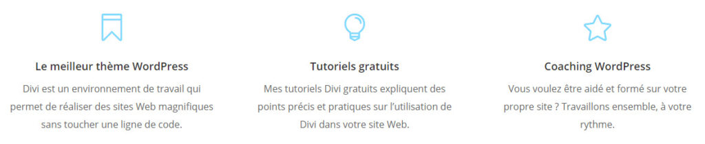 divi demo module résumé blurb