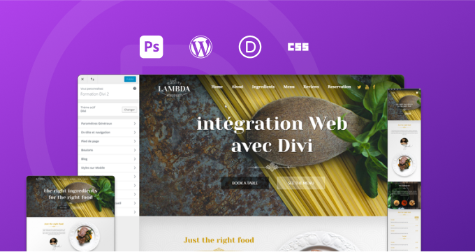 formation Divi intégration Web