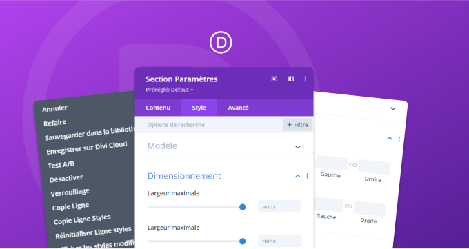 formation mieux utiliser Divi